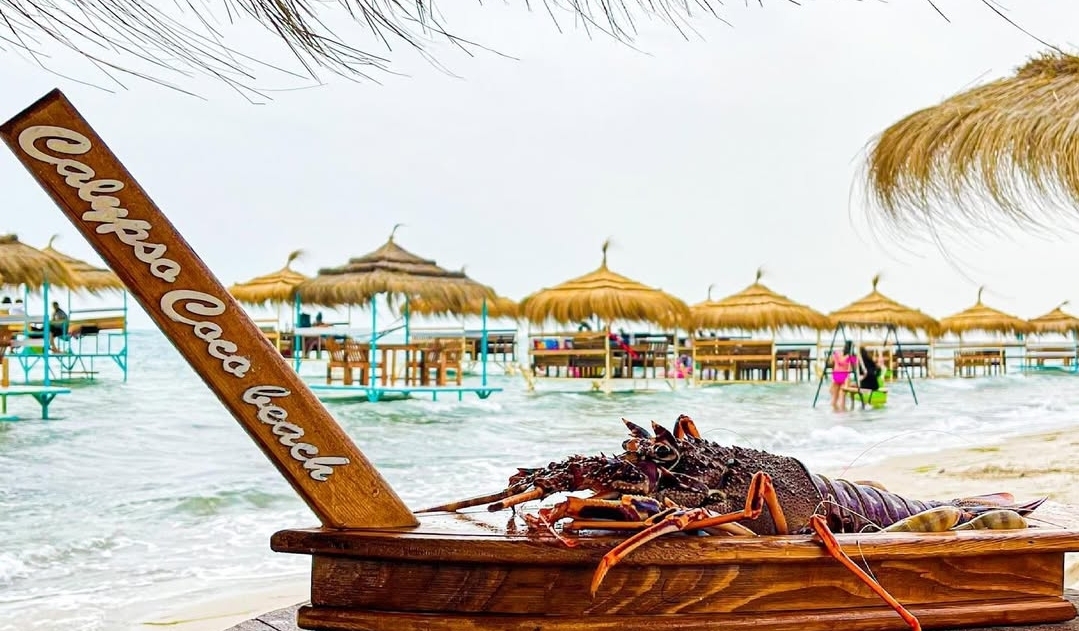 Lobster & Royal Prawns